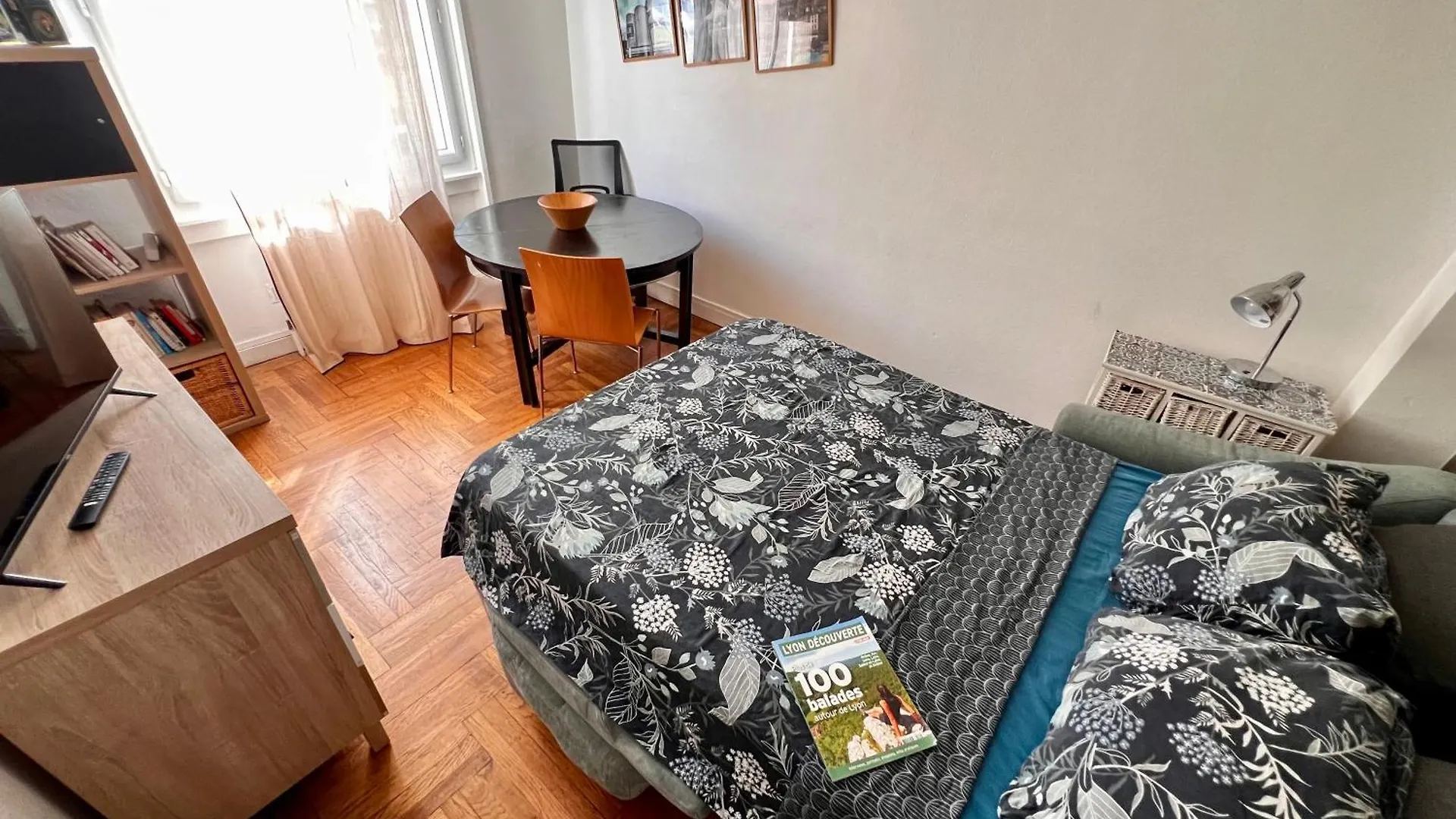 Chambre Double Et Salon Canape Lit 2 A 4 Personnes Séjour chez l'habitant Lyon